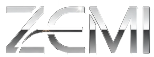 TheZEMI